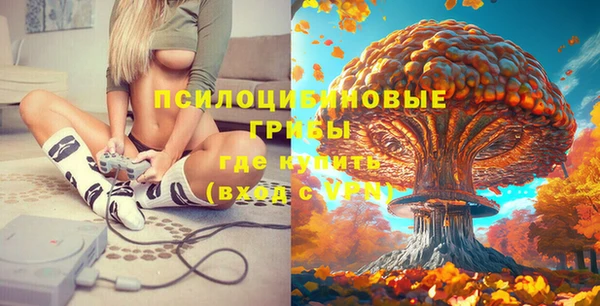 ПСИЛОЦИБИНОВЫЕ ГРИБЫ Белокуриха