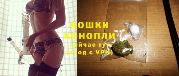 ПСИЛОЦИБИНОВЫЕ ГРИБЫ Белокуриха