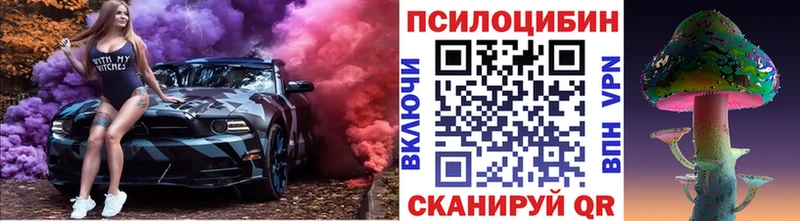 Псилоцибиновые грибы мухоморы  darknet официальный сайт  Кудрово  где найти наркотики  KRAKEN зеркало 
